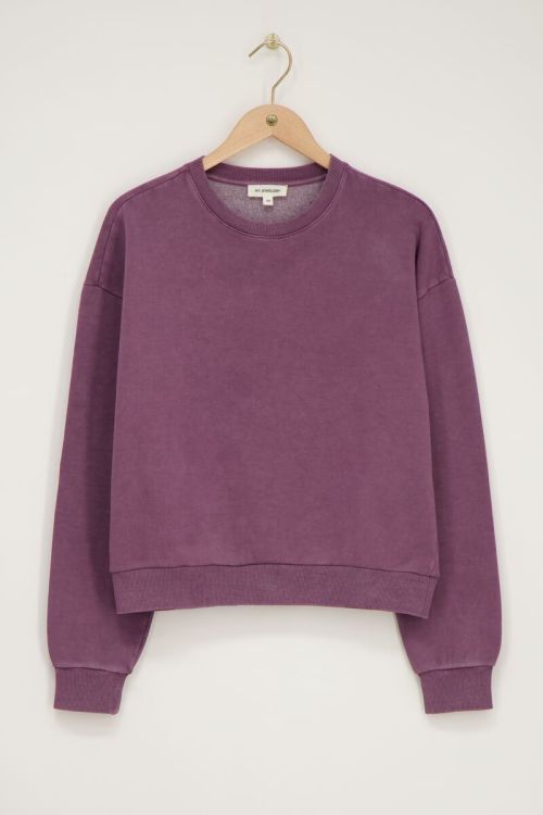 Paarse sweater 