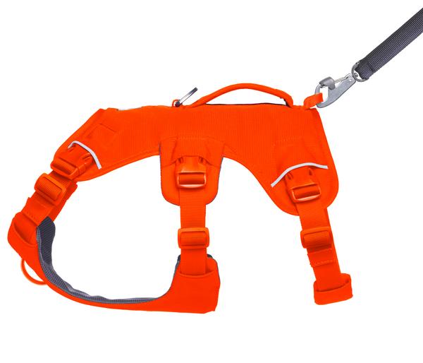 RUFFWEAR® Hundegeschirr Web Master™