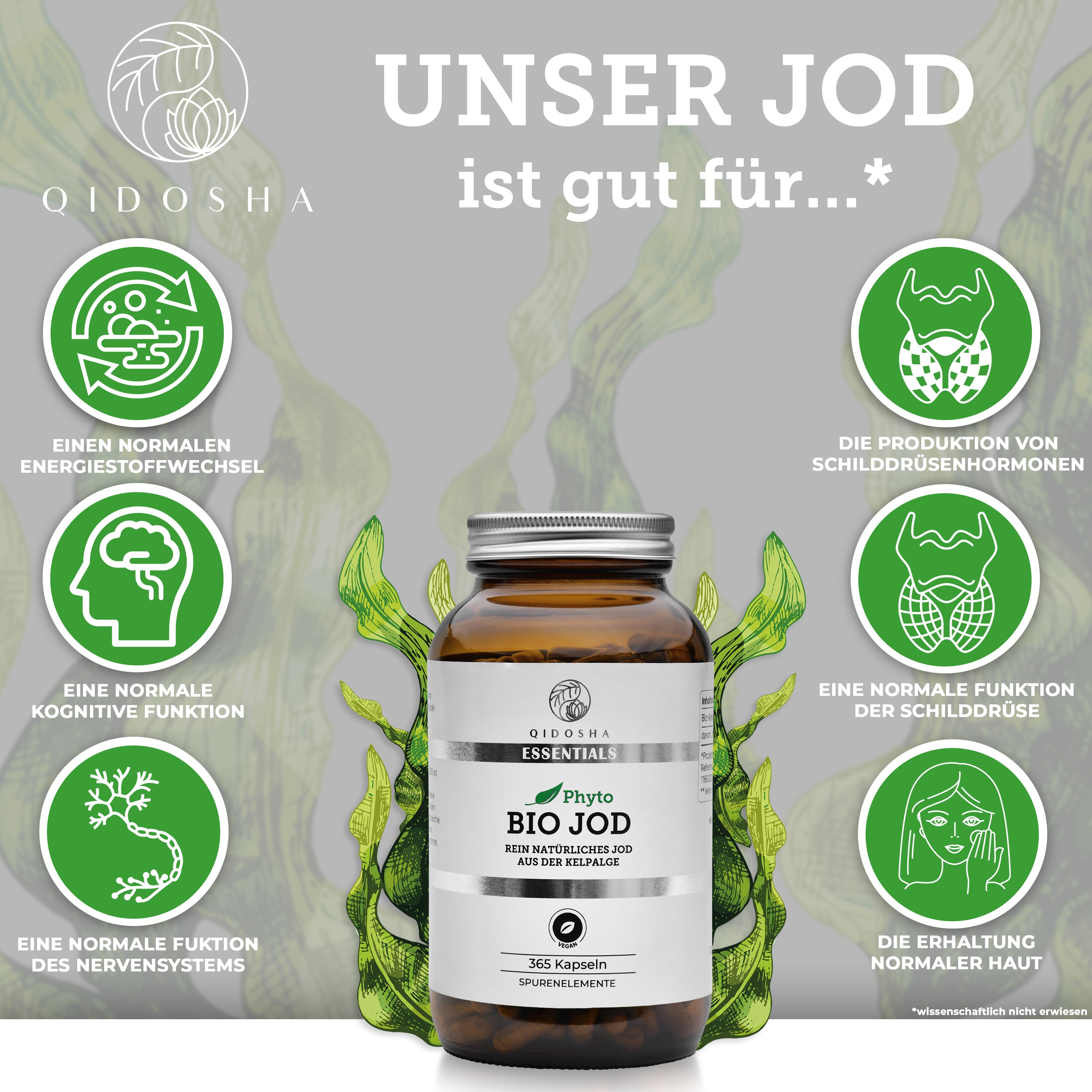 QIDOSHA Bio Jod aus der Kelpalge