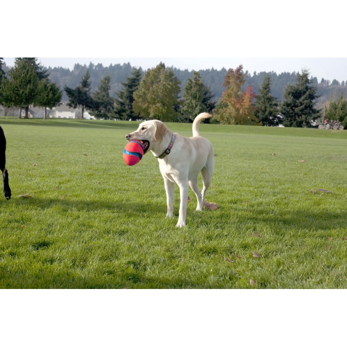 Ballon Fumble Fetch