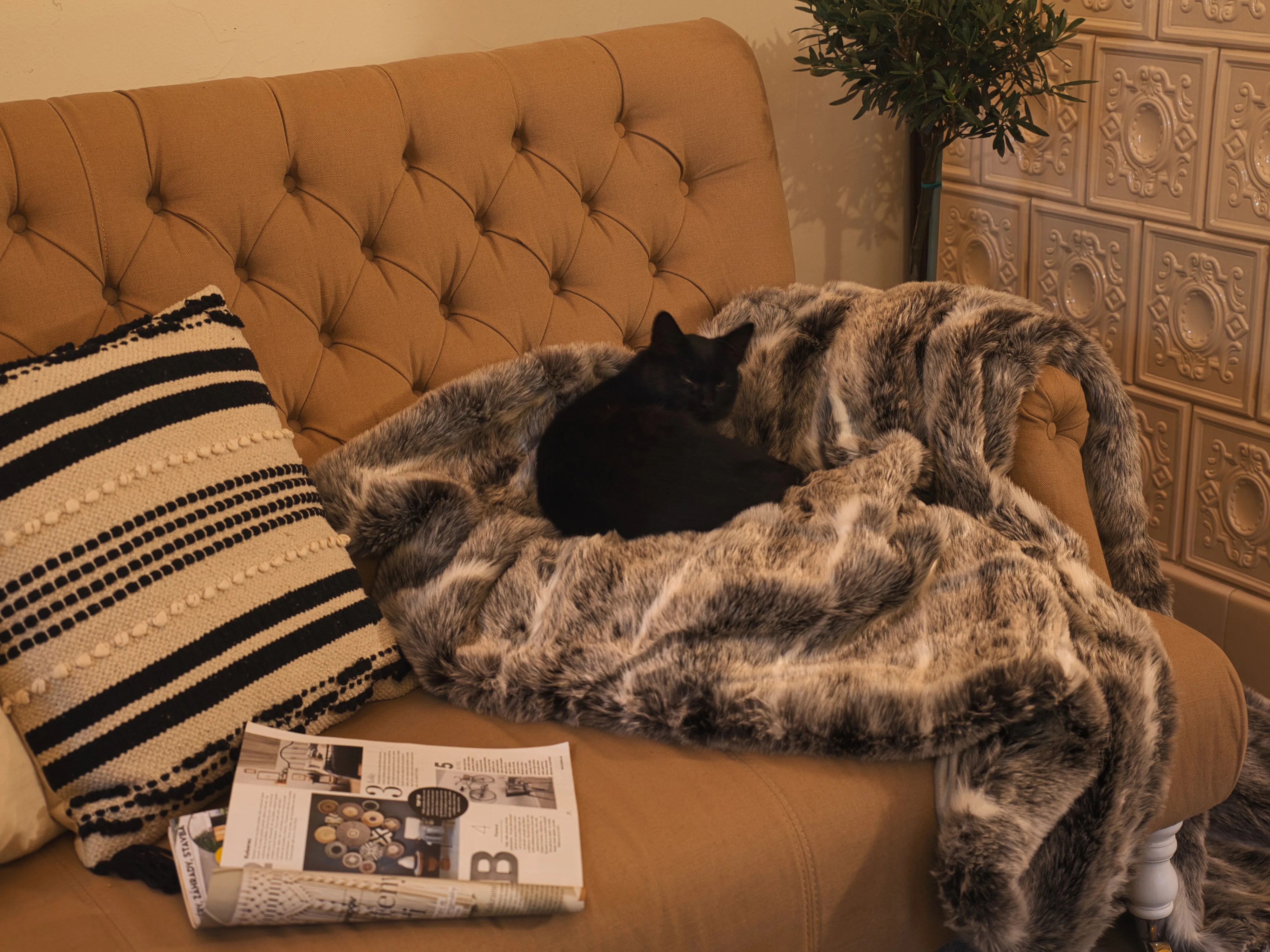 Plaid TADDART Stof 180 x 220 cm Bruin