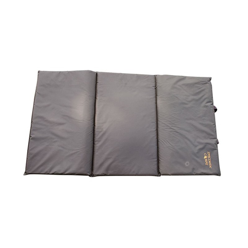 Tapis De Reception Standard Specimen Carpe