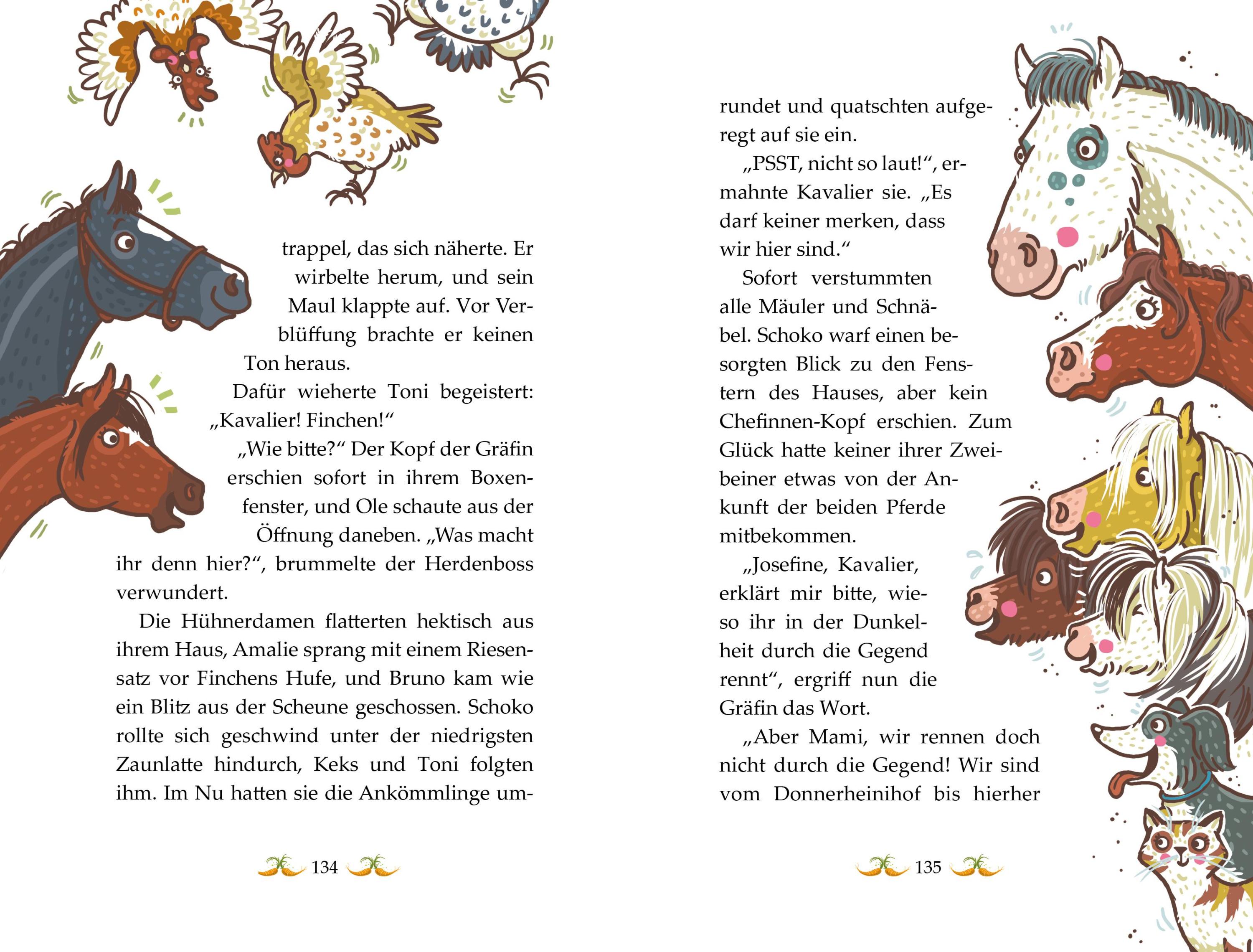 Mit allen Ponywassern gewaschen / Die Haferhorde Bd.20