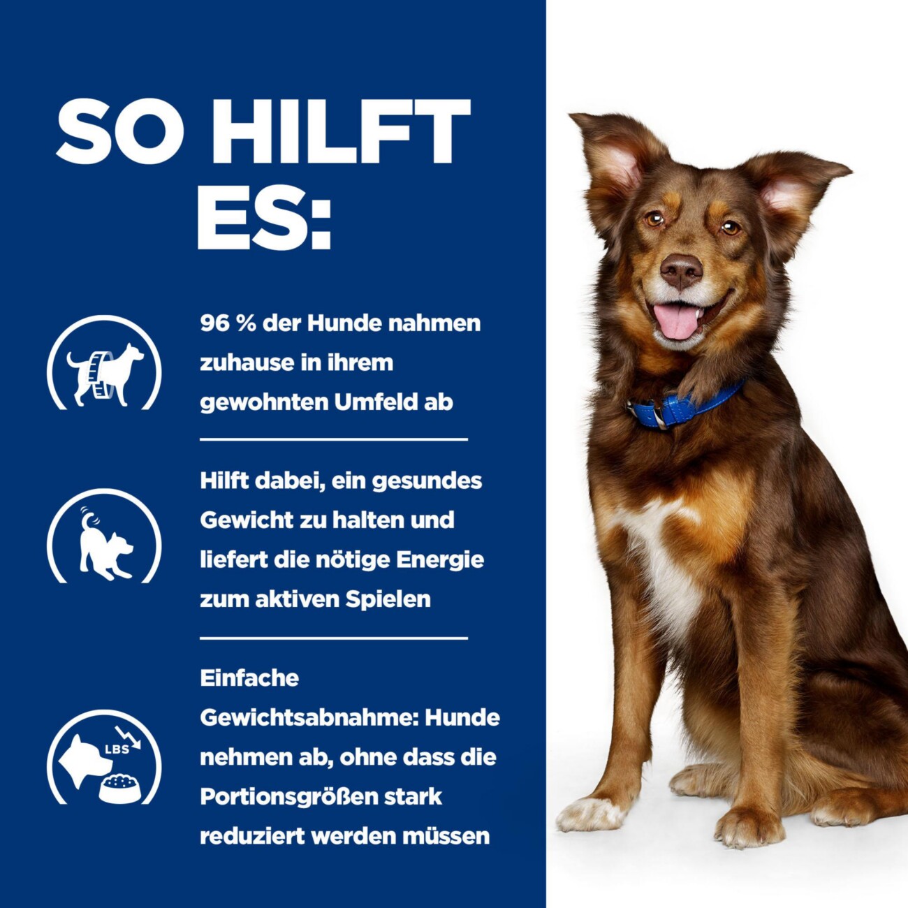 Hill's Prescription Diet Metabolic Huhn 12 kg