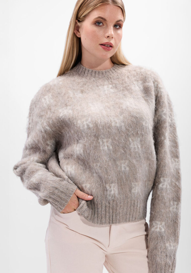 taupe studio ar trui alyssa brushed knit
