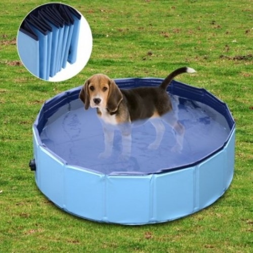 Piscina rígida para animais de estimação PawHut, azul