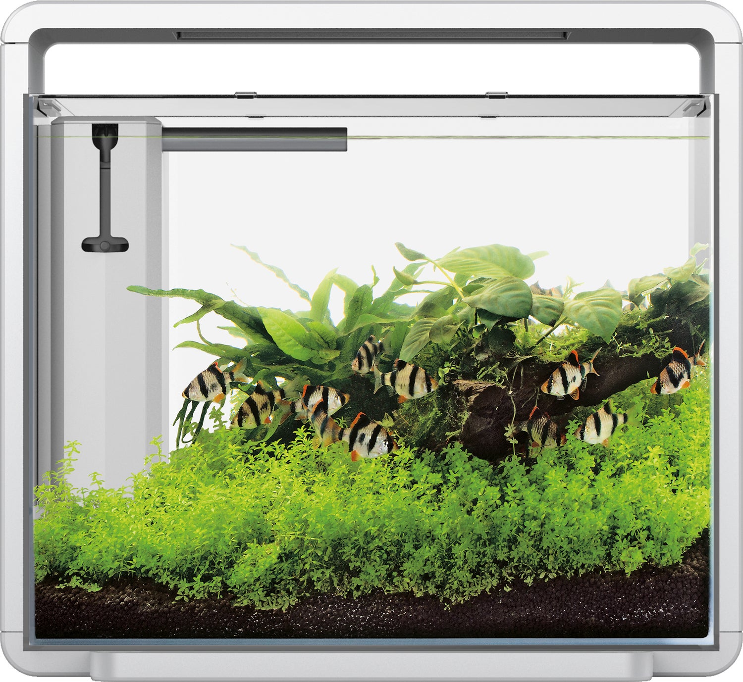 SuperFish aquarium Home 45 wit 40 L