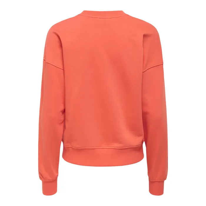 Only Philea Fruit Sweater Dames