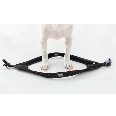 Rogz Fast-Fit Hundegeschirr S schwarz 41cm