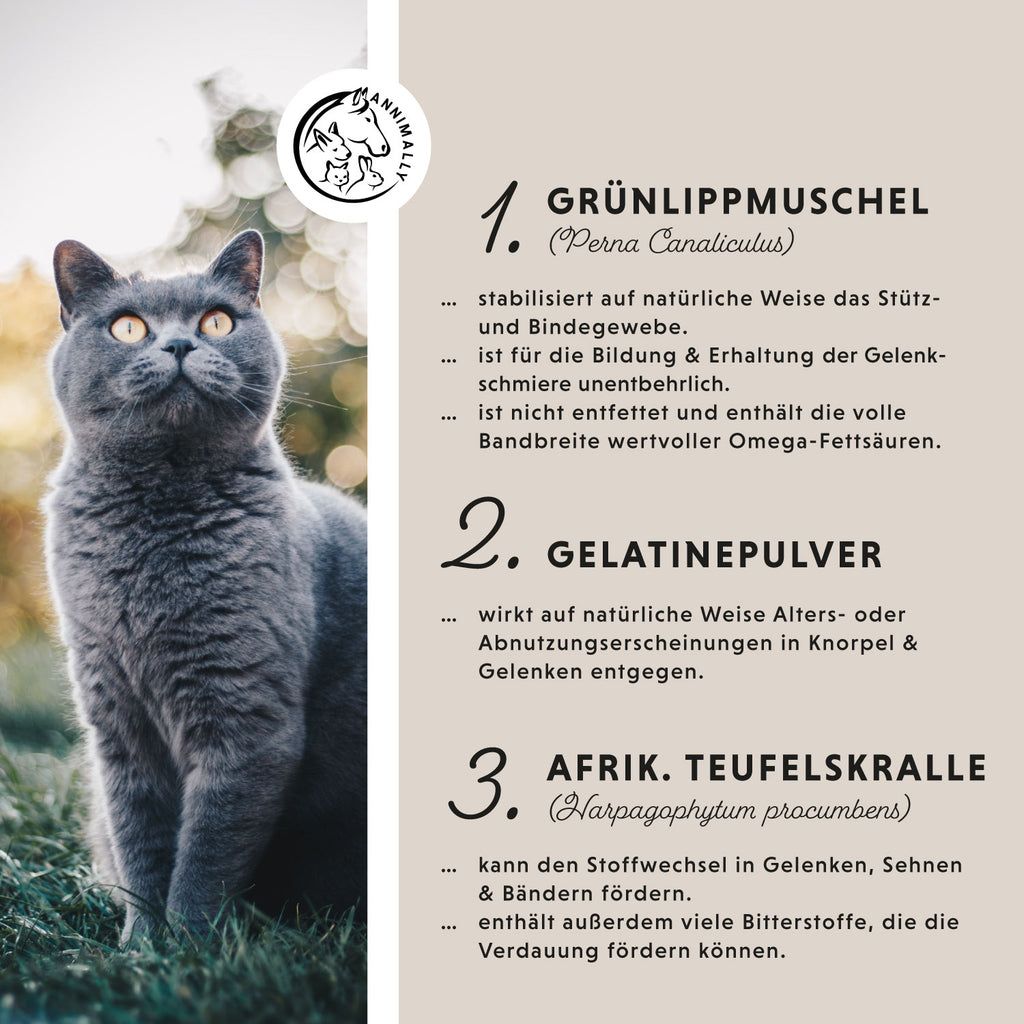 Annimally Gelenk Komplex