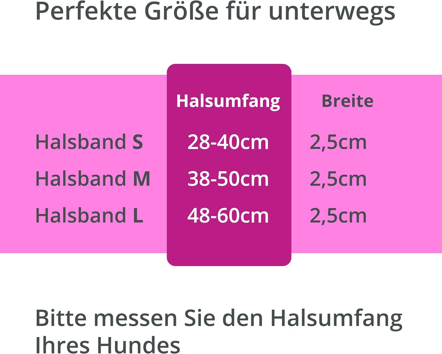 PETSATION Leuchthalsband Hundehalsband