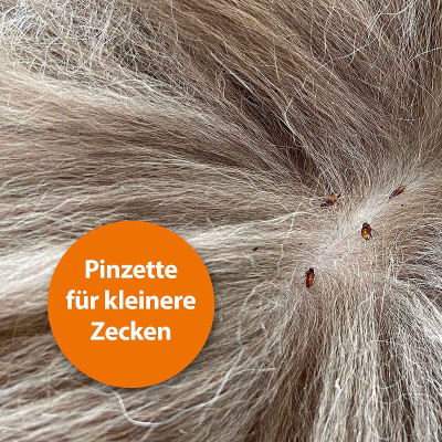 Ardap Zeckenhaken mit Pinzette Edelstahl