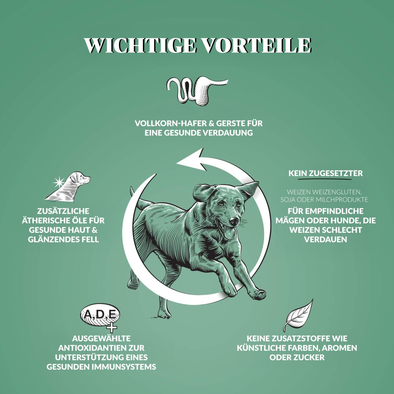 Dr John Hyppoallergen Trockenfutter Huhn mit Hafer 2x12.5kg