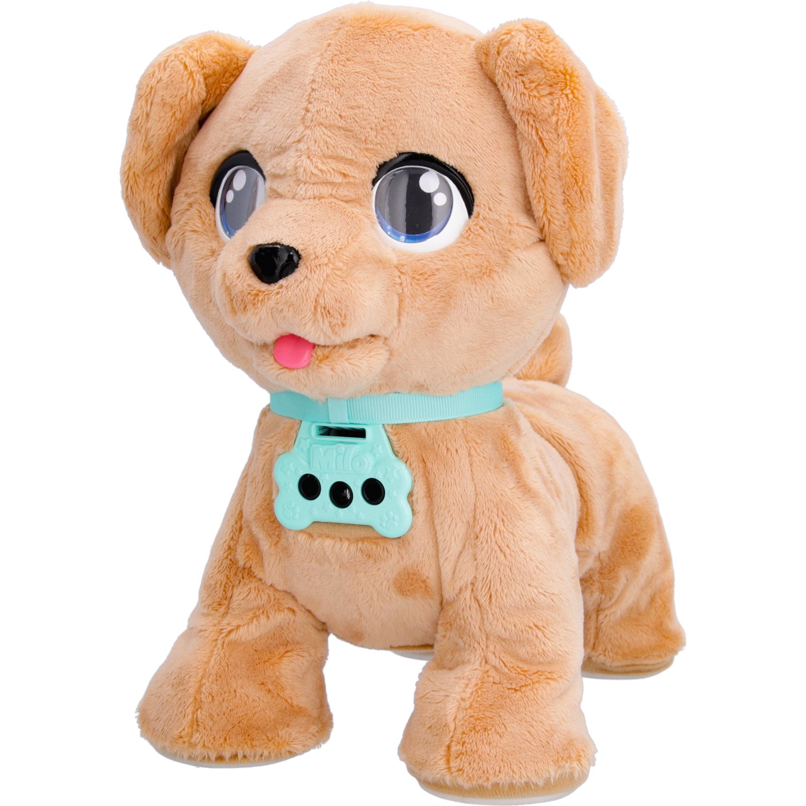 Club Petz Milo