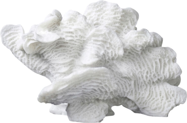 Mette Ditmer Coral, large fan Hvid