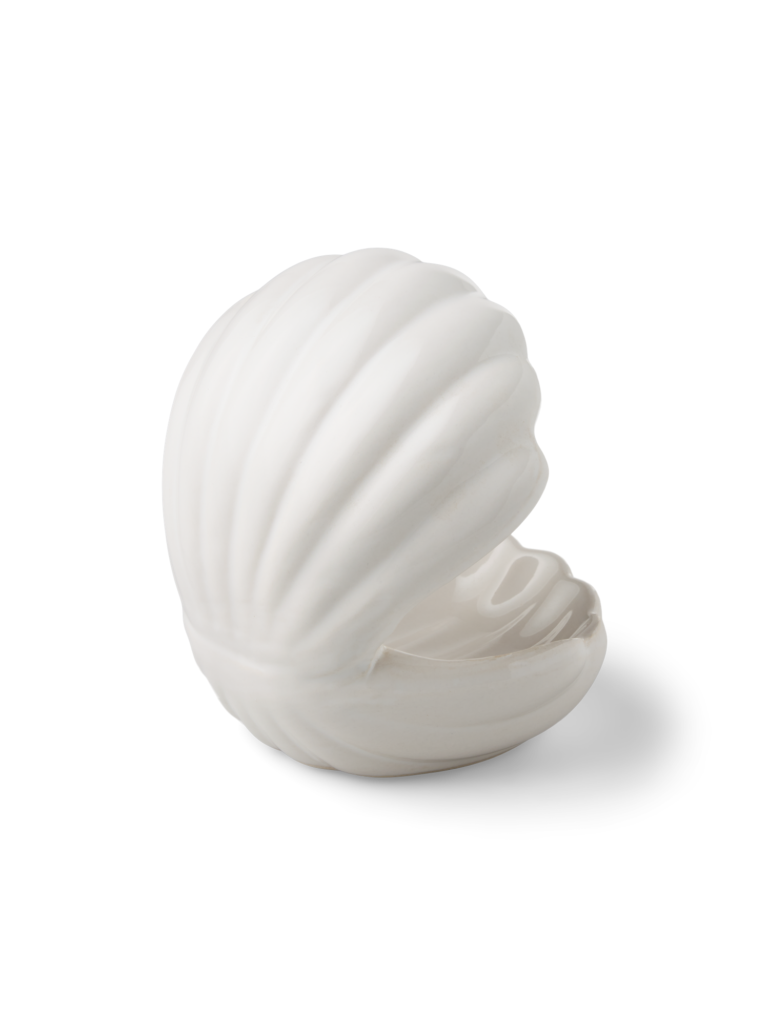 Dekorativ musling | Dolomit. 12 x 10 x 13 cm. | White