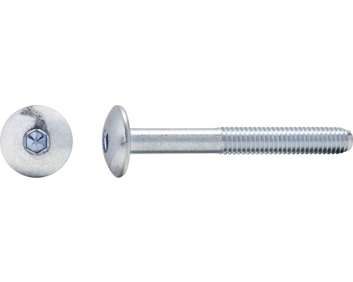 Platkopschroef met binnenzeskant M6x15 mm, verzinkt, 100 stuks