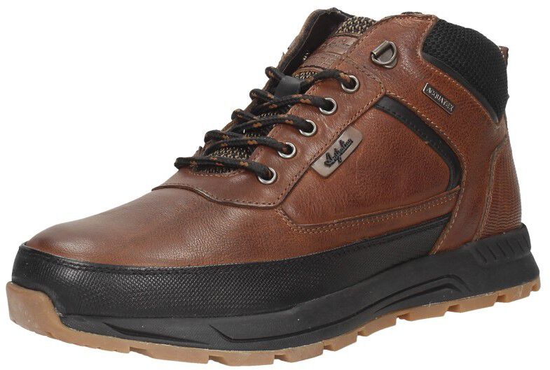 Australian Walker cognac