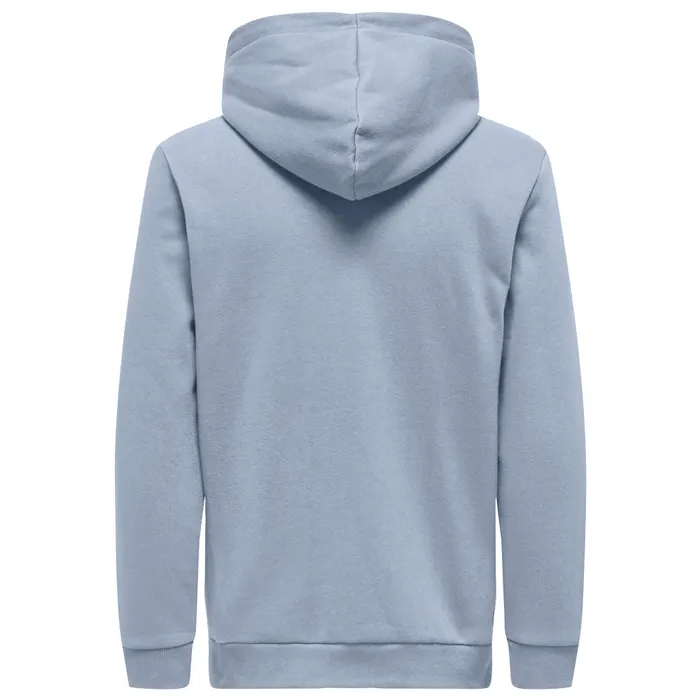 Only & Sons Ceres Life Hoodie Heren