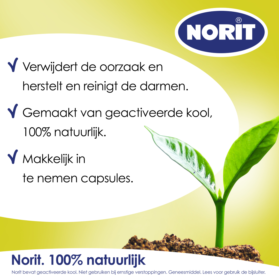 Norit 200mg (30 capsules)