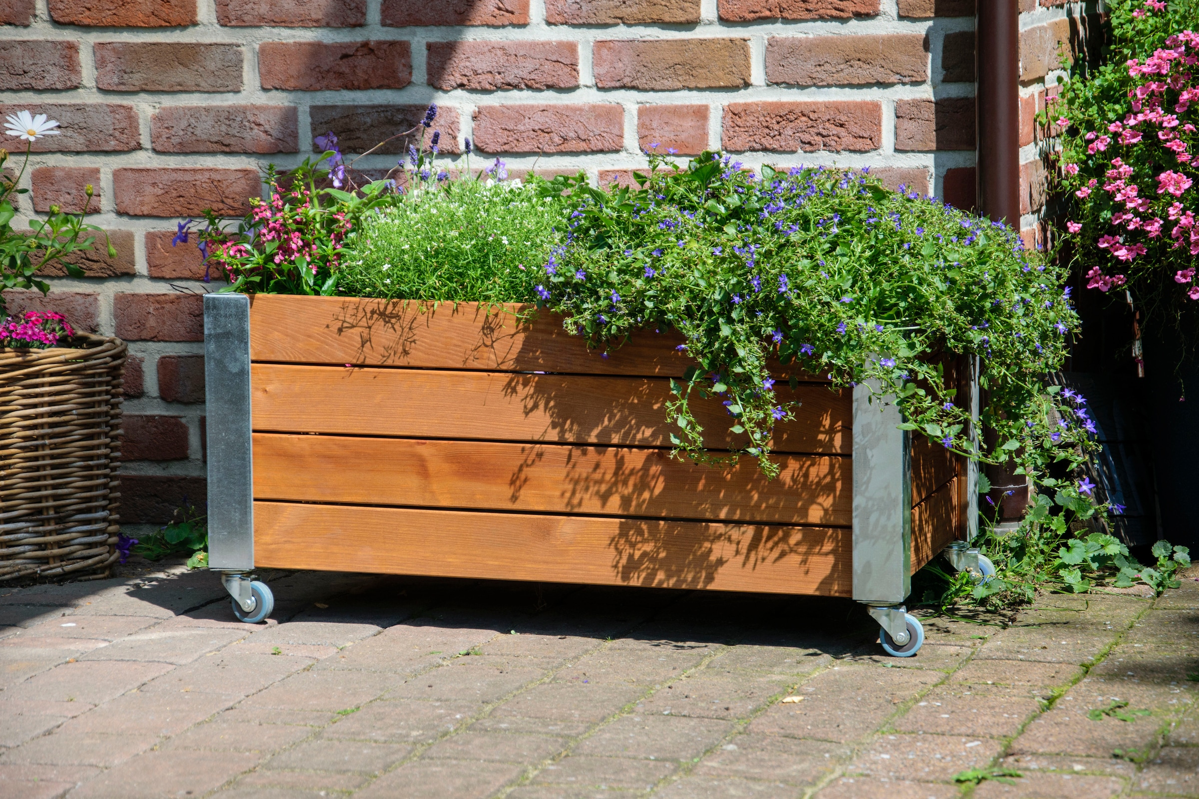 dobar Hochbeet »Rollfi« FSC®-zertifiziertes Kiefernholz, wetterfest lasiert, mit Rollen