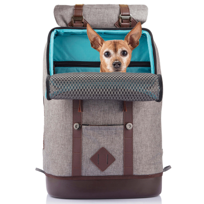 Kurgo Hunderucksack K9 in Grau für Hunde bis 11.3kg