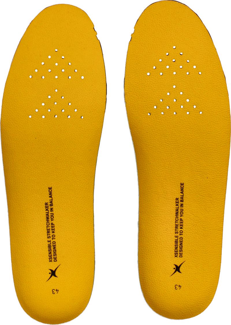 Xsensible Golden Gate Sneakers Groen Heren