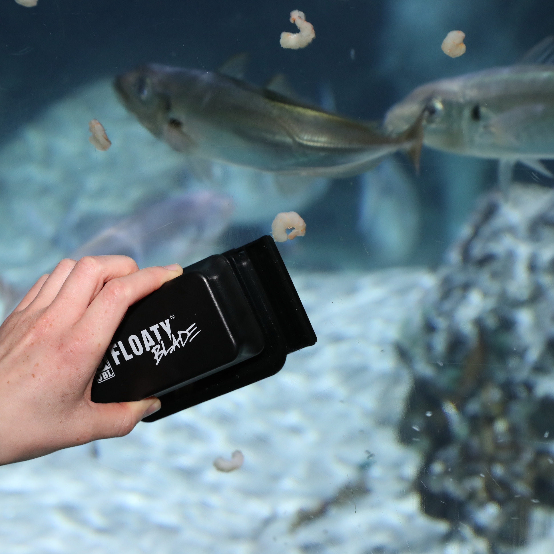 JBL Floaty Blade XL 13x26,5x6cm