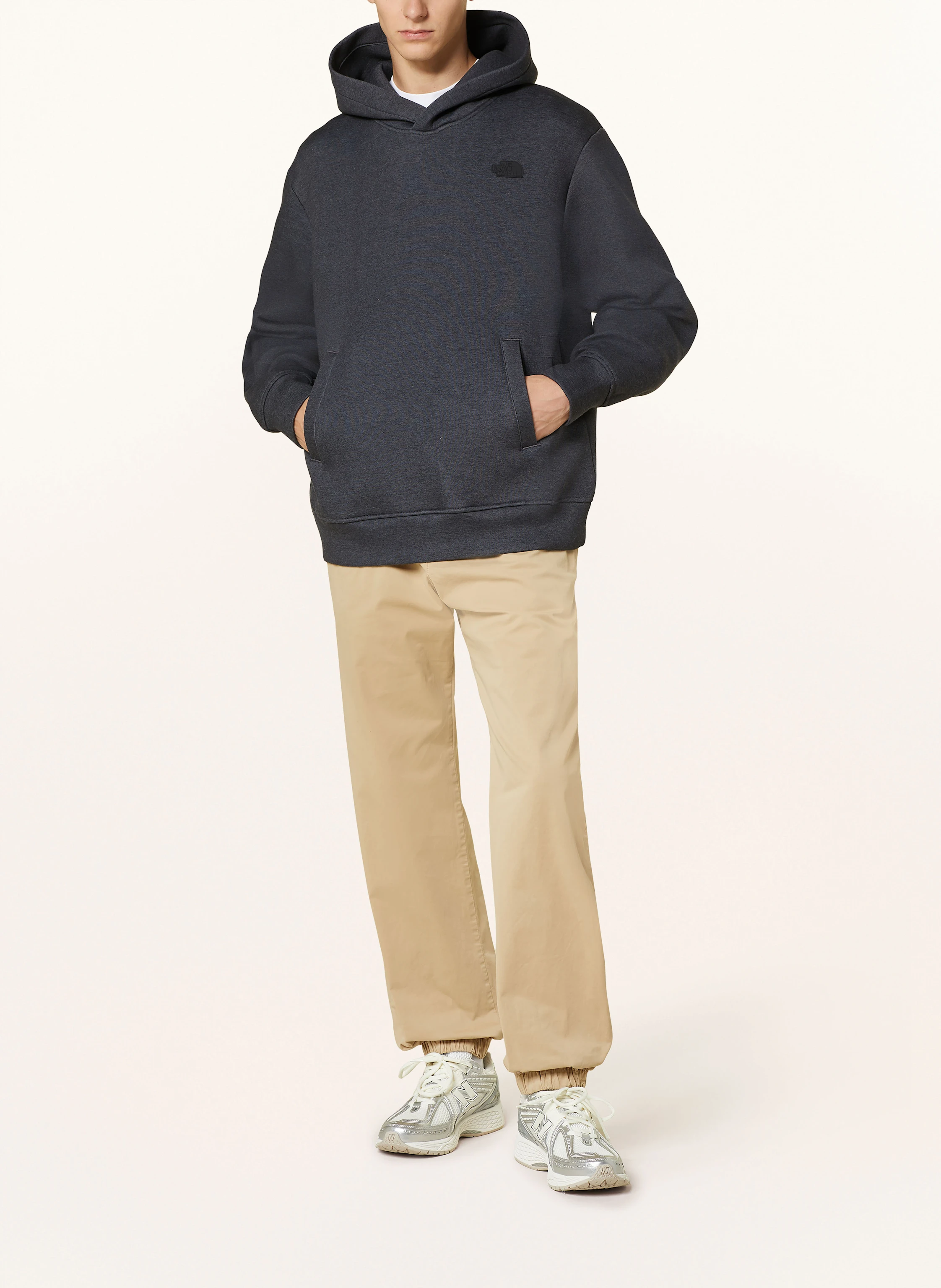 THE NORTH FACE Hoodie PULL-ON