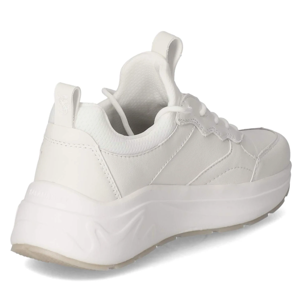 SalamanderLow Sneaker - white / white