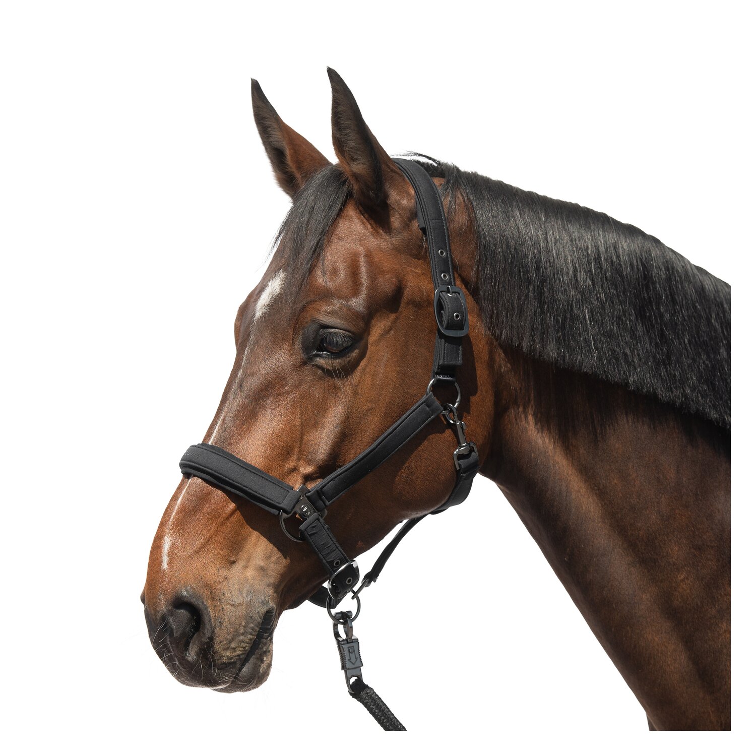 Cheval de Luxe Halfter Toulouse  - schwarz