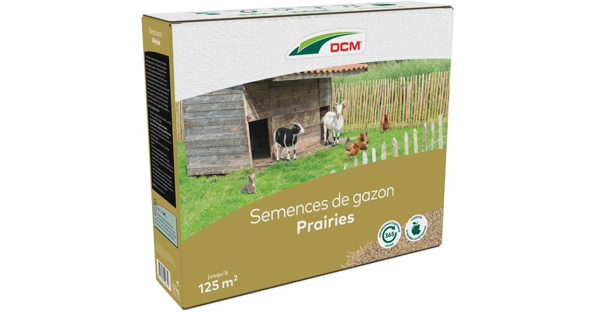 DCMGraszaad Weide 1,5 kg zaden  (Tot 125 m²)