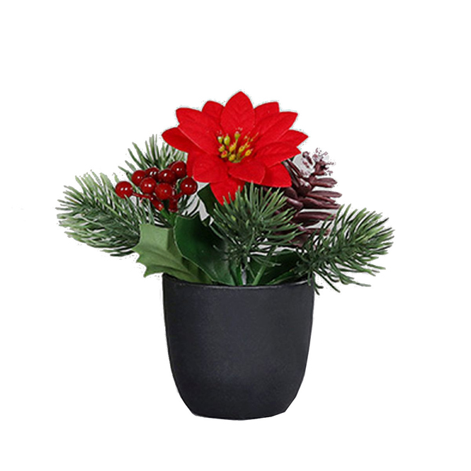 Weihnachtsstern - ca. 15 cm