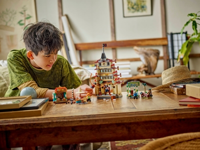 LEGO De strijd bij Arlong Park (75638)