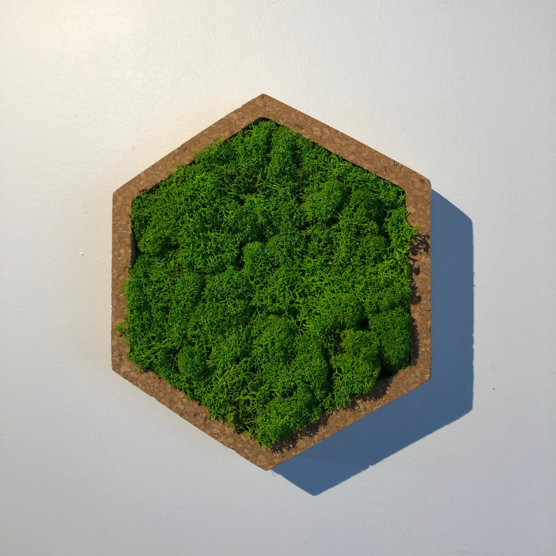 Stab lichen hexagonal vert 16 x 16 cm