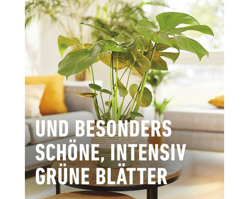 Compo biologische groene planten- en palmenmeststof, 500 ml minerale vloeibare meststof.