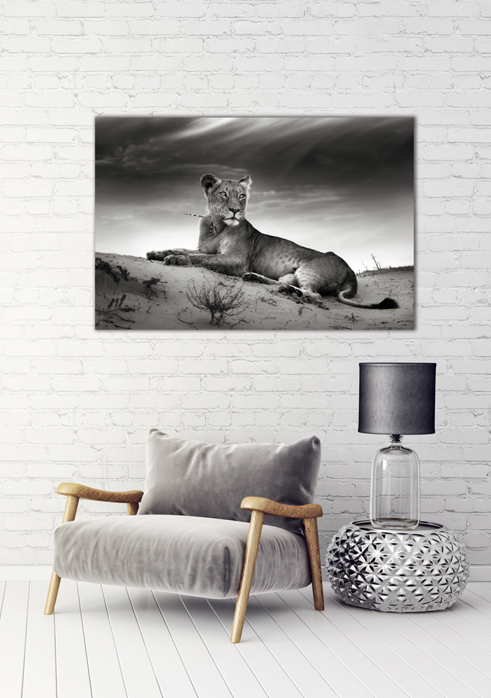 Akustikbild LÖWIN 80x120cm, 7kg