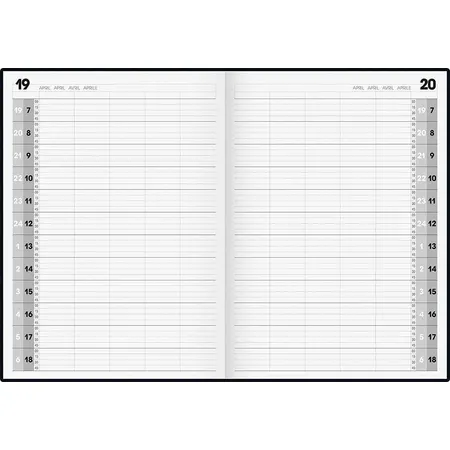 BRUNNEN Buchkalender Agenda 2020 Blattgröße 21 x 29 cm