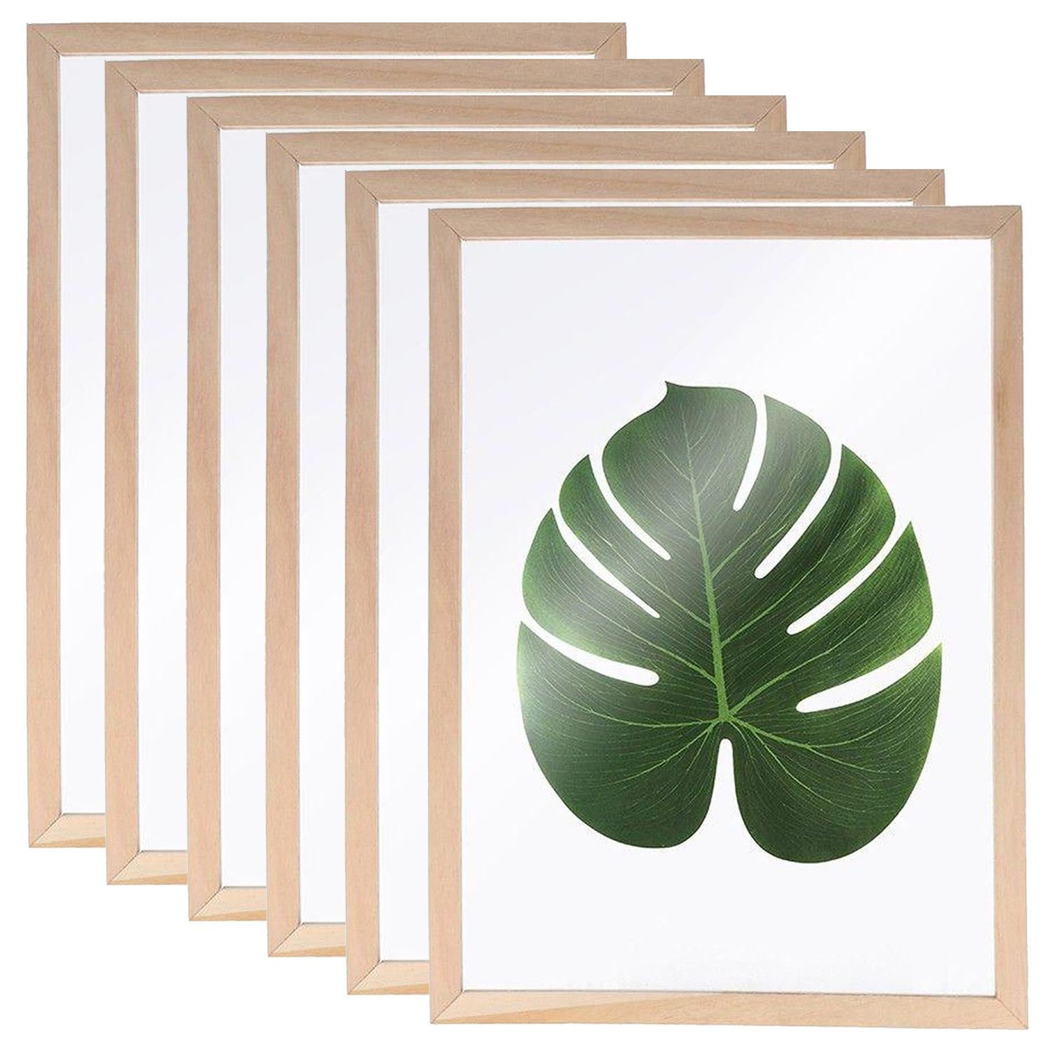 6 cadres en bois pour herbier a4