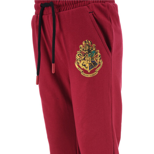 TEAM HEROES  - JOGGING HARRY POTTER - Violet