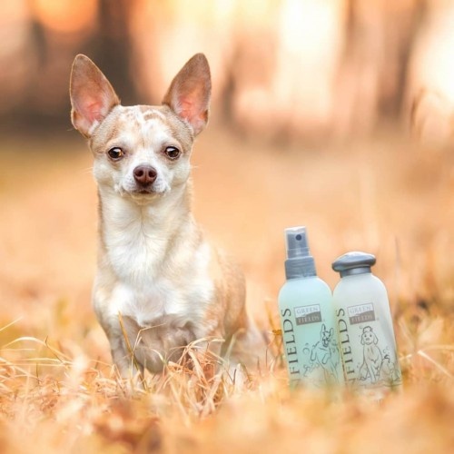 Shampoo neutro para animais de estimação Greenfields