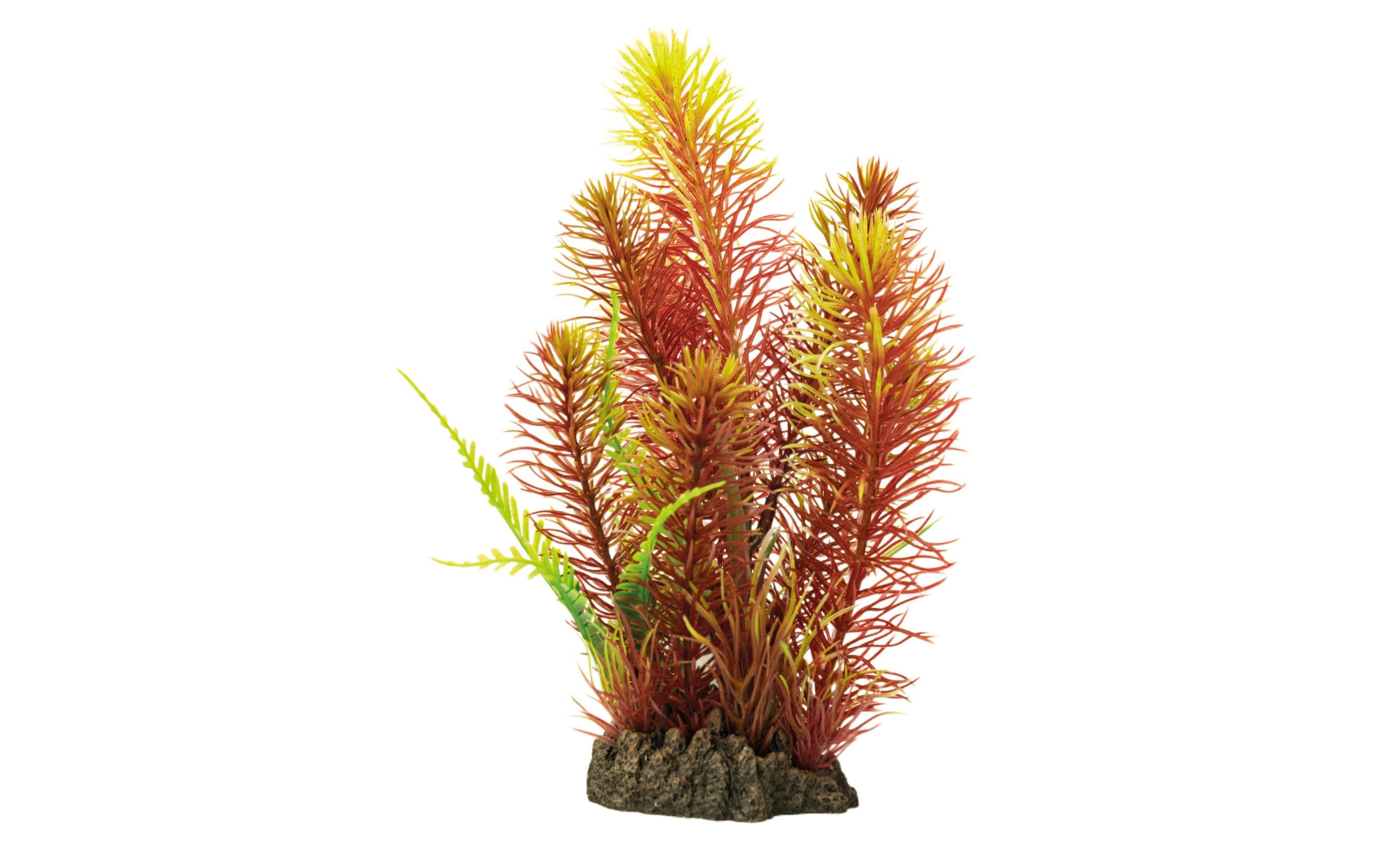 Kunstpflanze Myriophyllum Red, 25 cmWunderschöne, realistisch aussehende Kunstpfanze