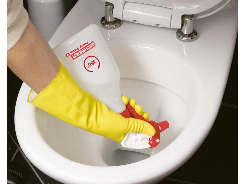 Birchmeier Handsprüher Foxy Plus Handsprühgerät mit leistungsfähiger Kolbenpumpe