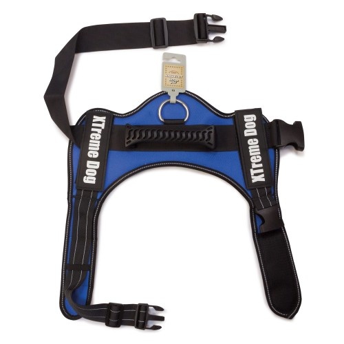 Coleira para cães Arquivet Xtreme, azul