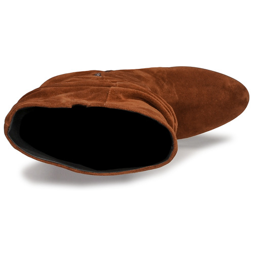 Fericelli - NEIGNET - Camel