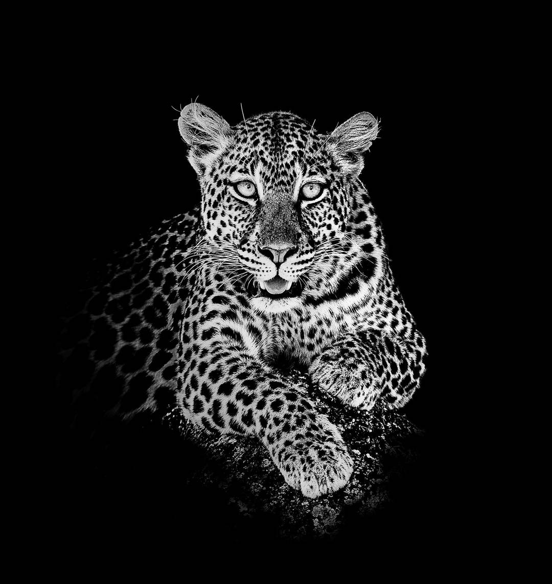 Unique by Claudio Gotsch - Limited Edition. Edition of: 150. Signed.