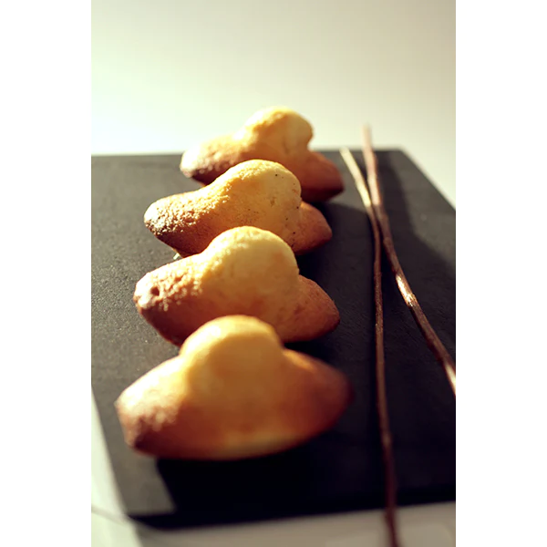 Elastomoule 8 madeleines De Buyer