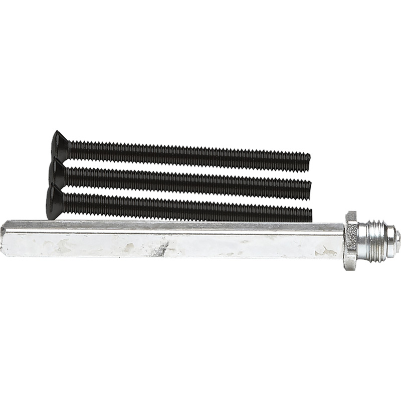 AXA wisselstift RVS + bouten M6x80mm zwart
