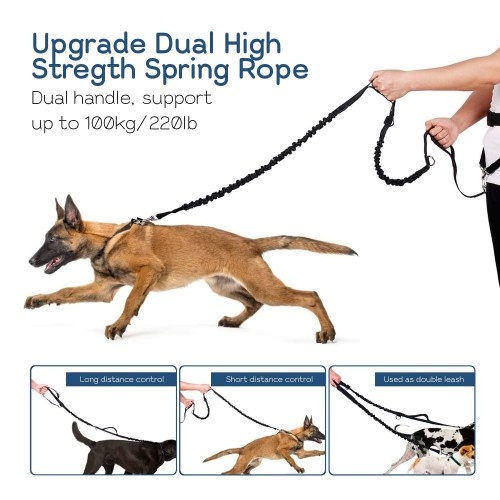 Guia Edipets Canicross com Bolsos de Armazenamento, Cinza, para Cães