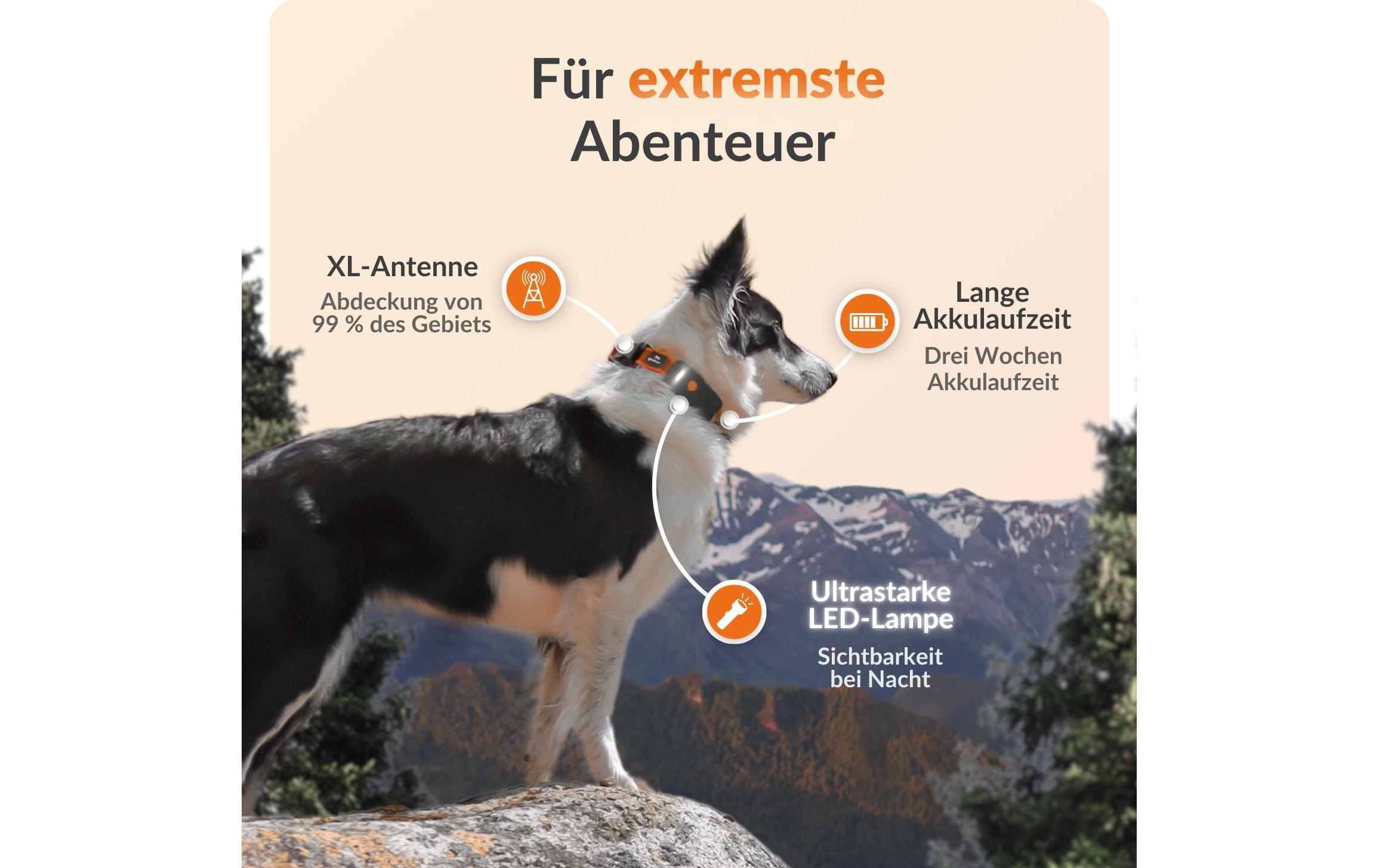 GPS-Hundetracker »Weenect für Hunde XT ohne Halsband«